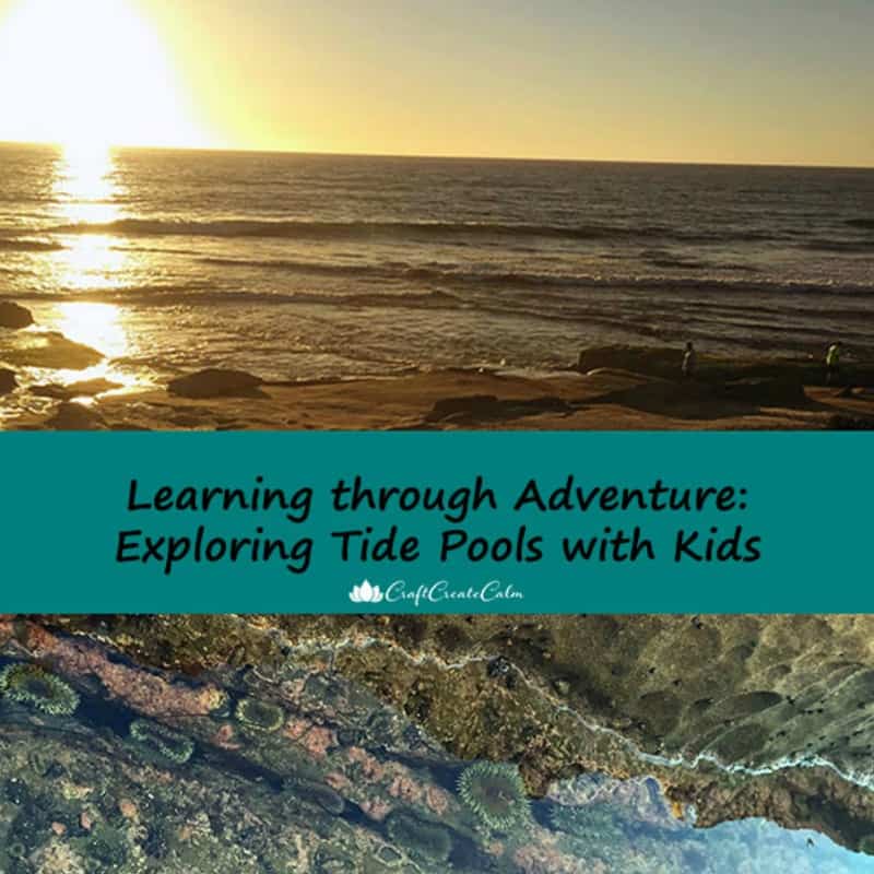 Exploring Tide Pools with Kids+Free Printable