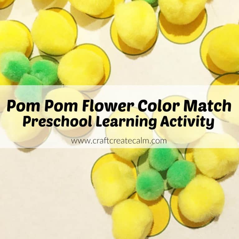 Color Matching for Kids with Pom Pom Flowers