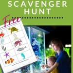 free aquarium scavenger hunt worksheet preview and two boys looking at display