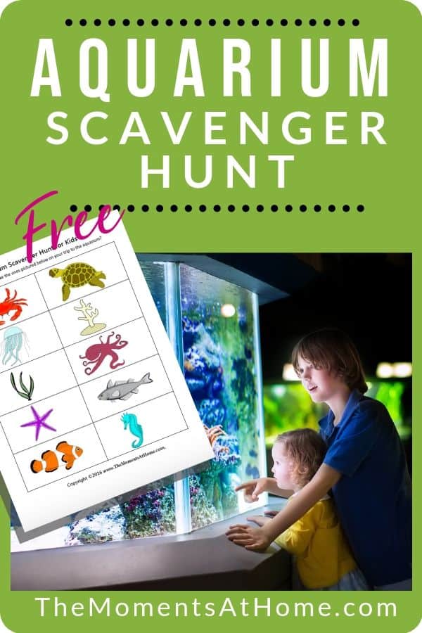 free aquarium scavenger hunt worksheet preview and two boys looking at display