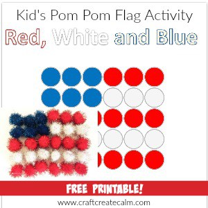 Red White and Blue Pom Pom