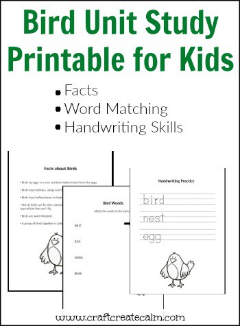 Bird Unit Study Printables for Kids