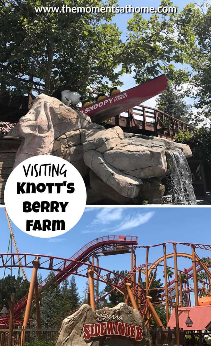 Family vacation tips for Knott's Berry Farm. California vacation with families visiting theme parks review. #knottsberryfarm #familytravel #californiavacation