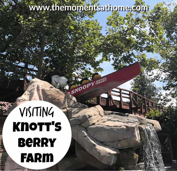 visiting knott"s berry farm