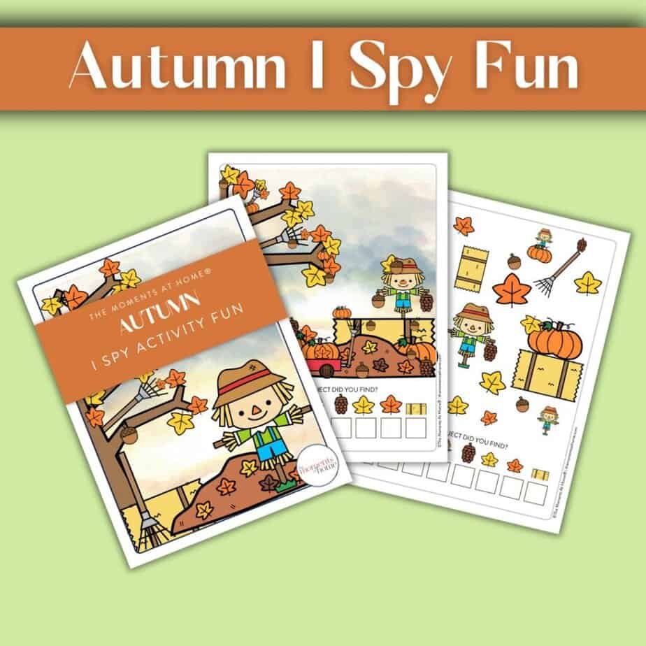 A peek at the Autumn I Spy activity set