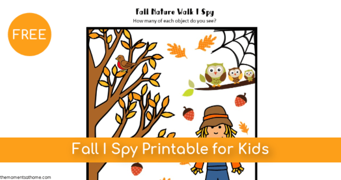 Fall I Spy Printable for Kids {Free}