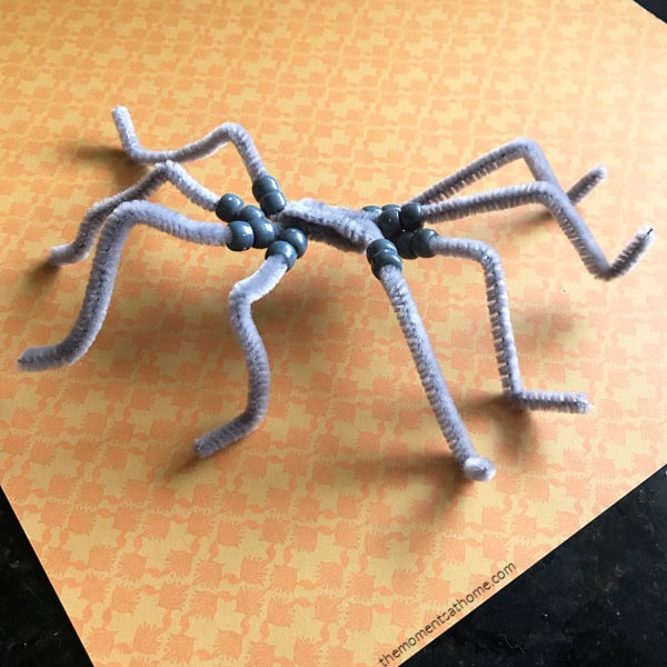 How to Make a Spider Out of Pipe Cleaners