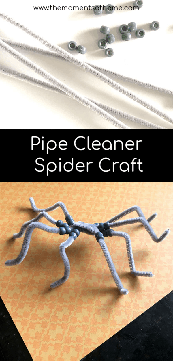 Pipe cleaner spider craft for kids. Make a simple craft for kids this fall using beads and pipe cleaners. #spidercrafts #fallcraftsforkids