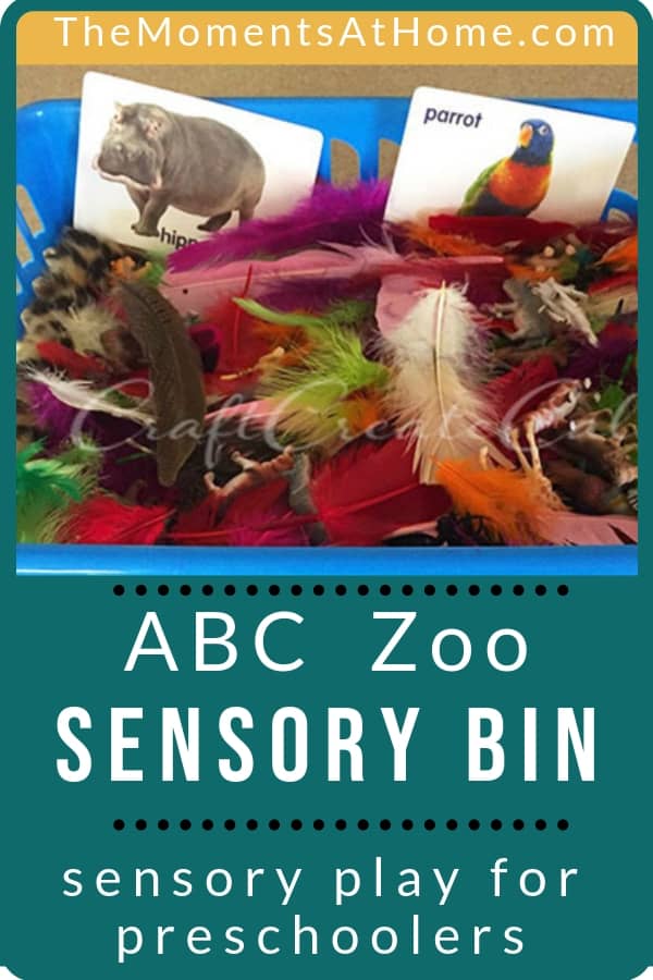 ABC Zoo sensory bin for preschool children that teaches textures, names, letters, and more. | #sensory #preschooler