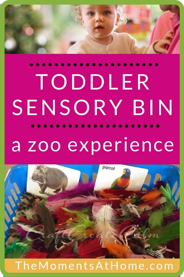 toddler sensory bin ideas: zoo