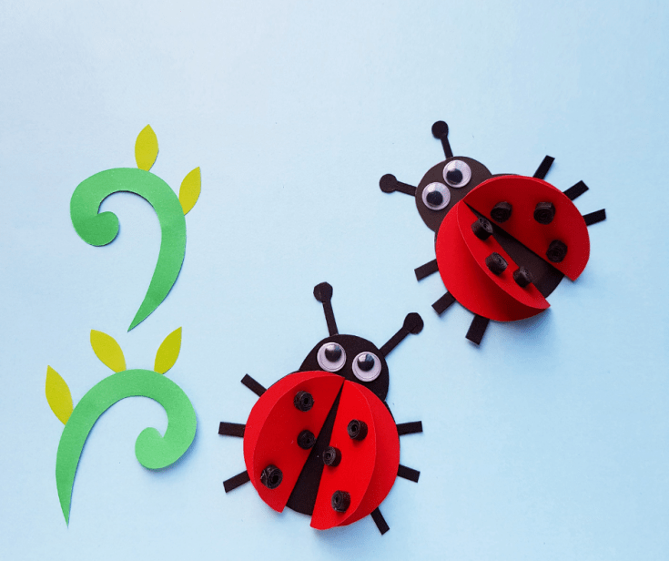 DIY ladybug craft