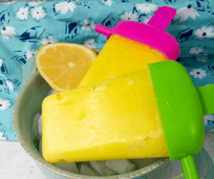 Two Ingredient Lemon Pudding Pops