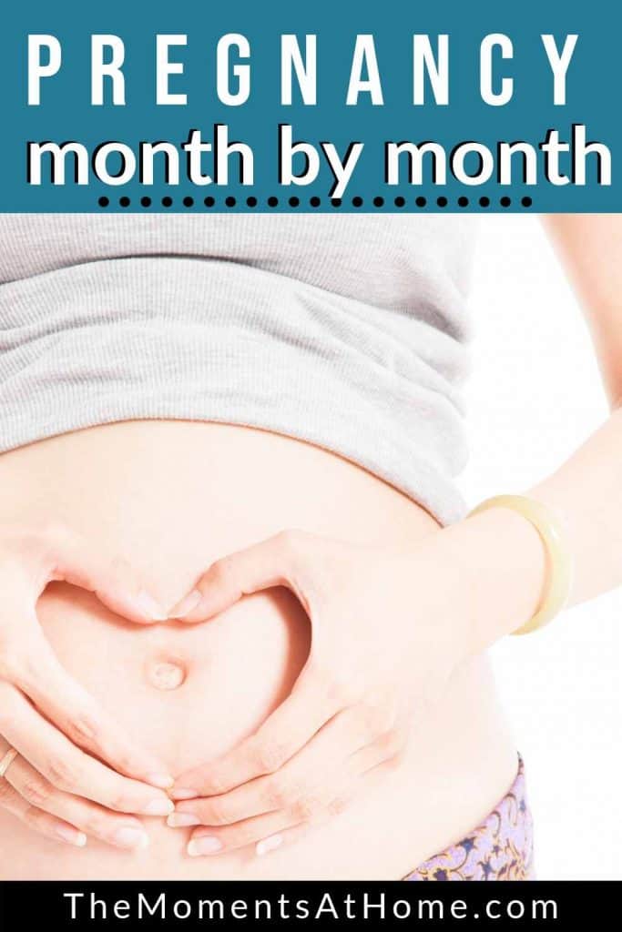 Heart over pregnant belly with words "your pregnancy explained month by month" from The Moments At Home