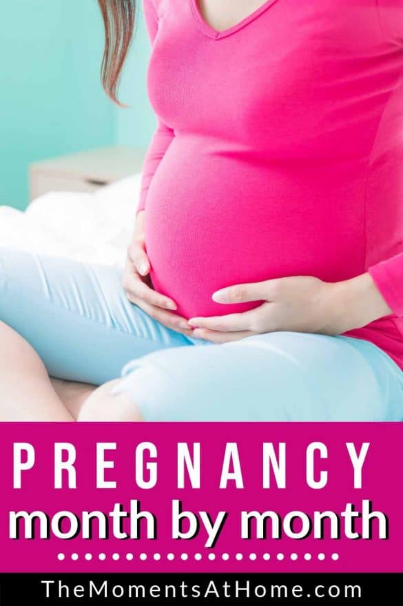 Your Simple Month By Month Guide To Pregnancy For Moms