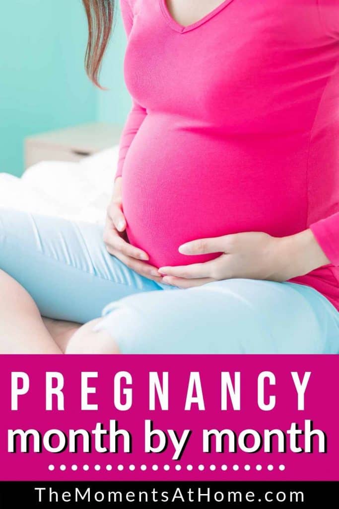 pregnant woman holding her belly with text "pregnancy month by month guide" from The Moments At Home