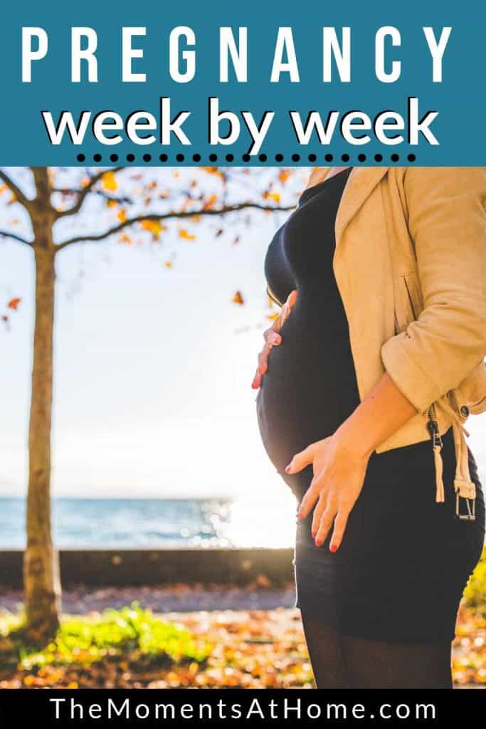 pregnant woman standing outside at sunset with text "Your week by week pregnancy guide" from The Moments At Home