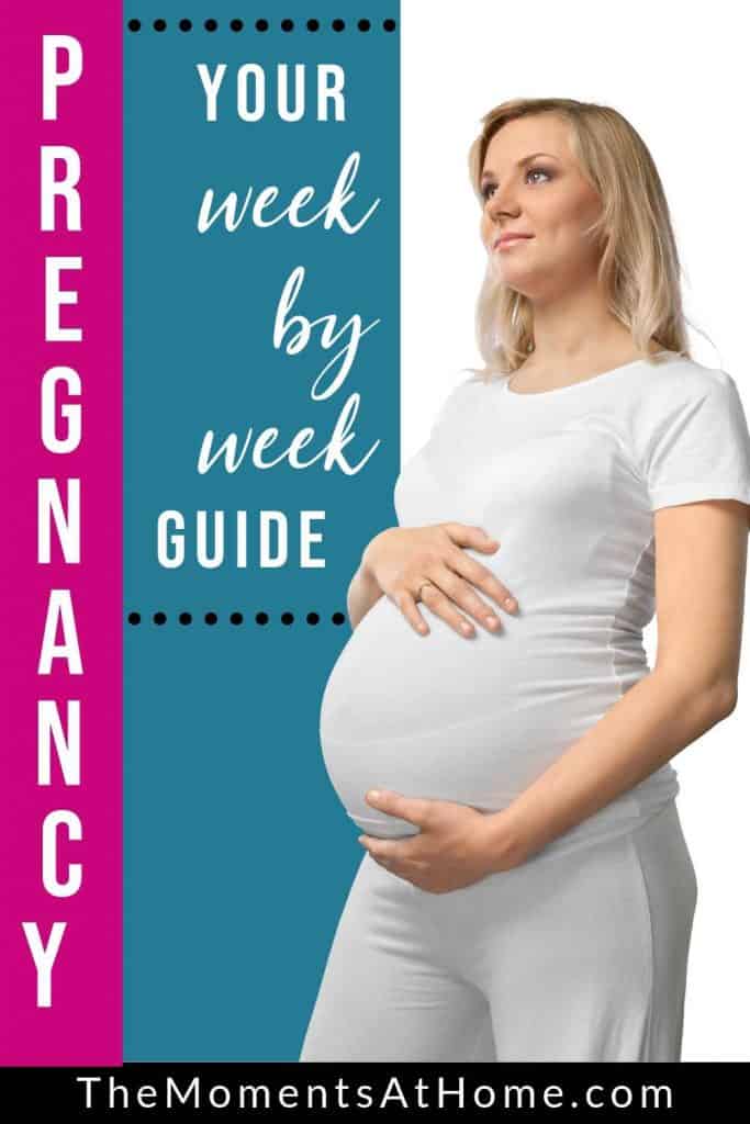 pregnant woman with text "Your week by week pregnancy guide" from The Moments At Home