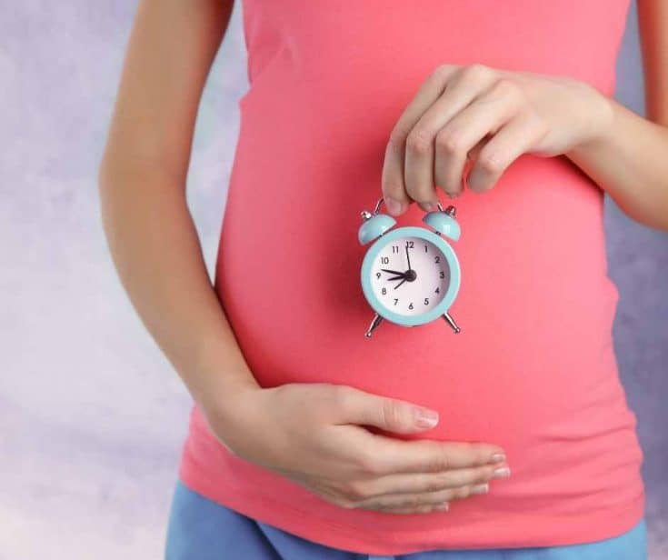 Your Week By Week Look At Baby's Progress In Pregnacy