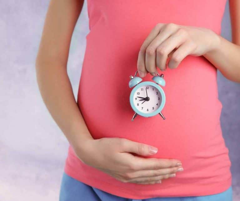 Your Pregnancy: Baby’s Week By Week Progress