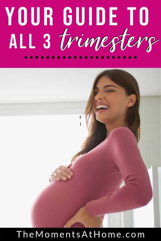 A Super Simple Guide to Each Pregnancy Trimester