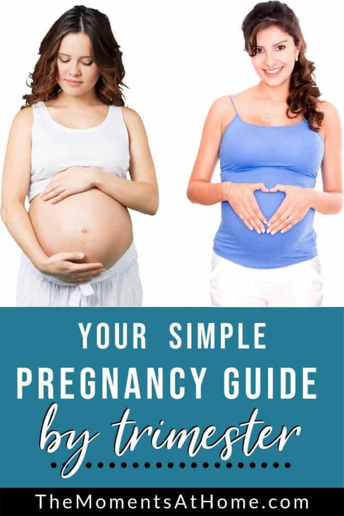 two women who are both pregnant and text your simple pregnancy guide by trimester from The Moments At Home