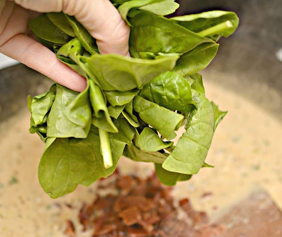 hand adding spinach to creamy garlic sauce in a skillet