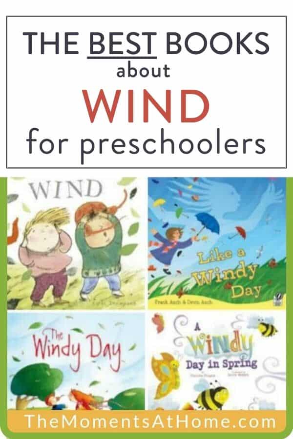 picture of wind books