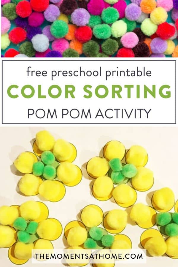 pom poms on a worksheet printable for preschoolers " free preschool printable color sorting Pom Pom activity"