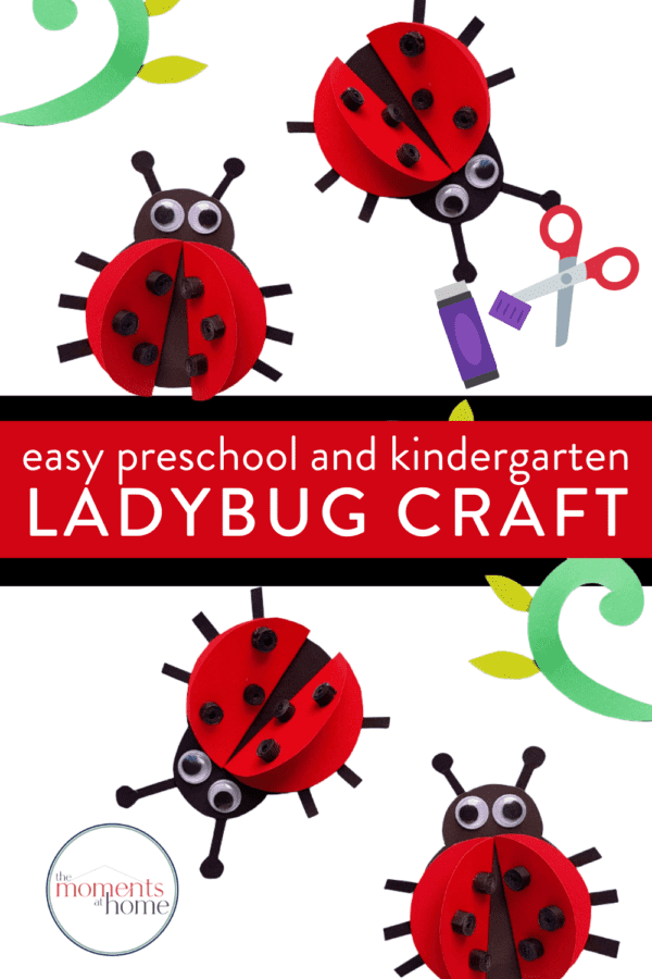 3D ladybug paper craft example for preschool and kindergarten arts and crafts