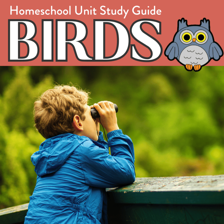 Bird Unit Study Guide: Book List, Crafts, And More