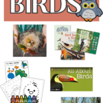 welcome to a unit study on birds with pictures showing suggested books, video, crafts, and photo of kids bird watching